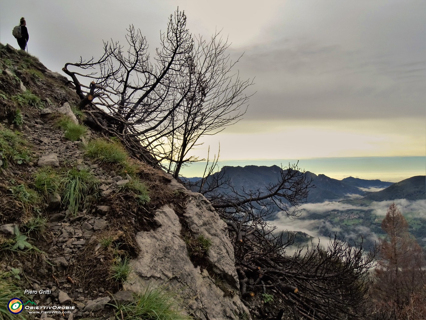 03 Velature estese sui monti, sereno in pianura, segni di incendio estivo salendo sulla cima del Corno Zuccone.JPG